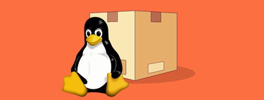 AppImage, Snap, Flatpak... en qué se diferencian los principales formatos de distribución de software de Linux
