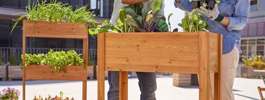 En Lidl encontramos una jardinera elevada tan bonita como práctica para poner en orden nuestras plantas en el balcón o terraza 