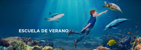 Campamento Verano