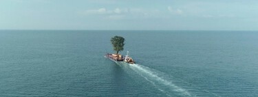 Un multimillonario lleva años transportando árboles en barco para su jardín personal. Y no hay quien lo pare