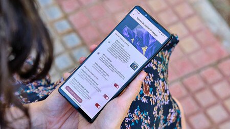 Sony Xperia 1 V Analisis 5