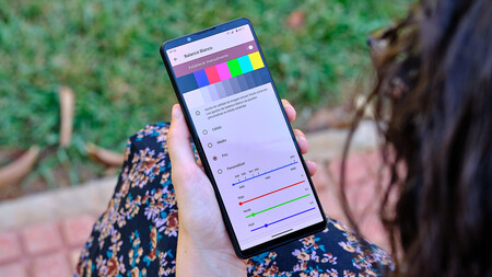 Sony Xperia 1 V Analisis 4