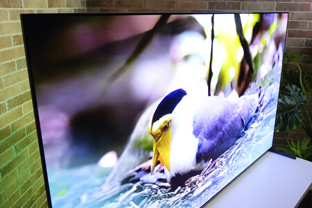 Sonya95l Diseno2