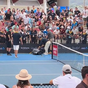 Video: un partido del ATP Brisbane se suspendió por una serpiente venenosa