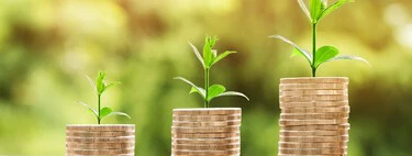 Se confirma el subidón a las pensiones en 2024 tras conocer el IPC de noviembre: estas son las cuantías que se cobrarán 