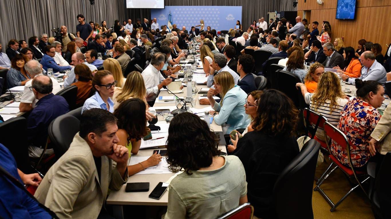 El Gobierno vuelve a defender la Ley Ómnibus en comisiones de Diputados (Foto: Télam - Eliana Obregón).