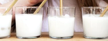 El debate definitivo sobre la leche se termina aquí: "mala" o "buena" según la evidencia científica actual