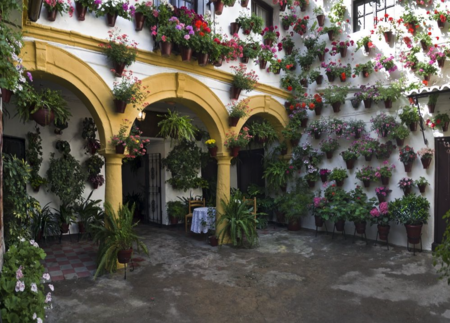 Patio De San Basilio 14