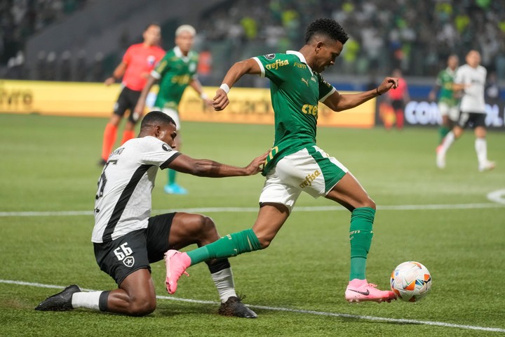 Palmeiras eliminado de la Copa Libertadores. (AP)