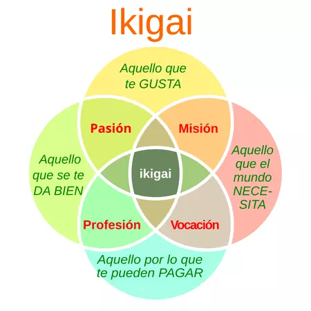 Ikigai