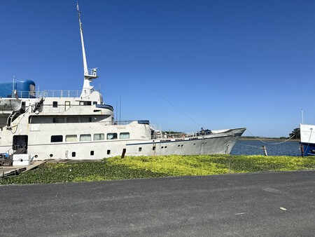 Aurora Barco 4