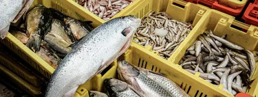 Ni atún ni salmón: este es uno de los pescados más sanos y completos que al mismo tiempo resulta barato 