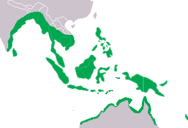 Crocodylus Porosus Distribution