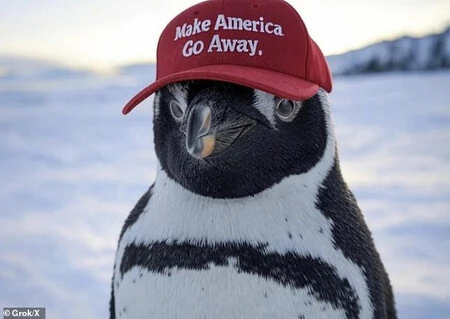 pinguino