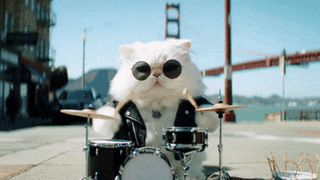 Gato Baterista