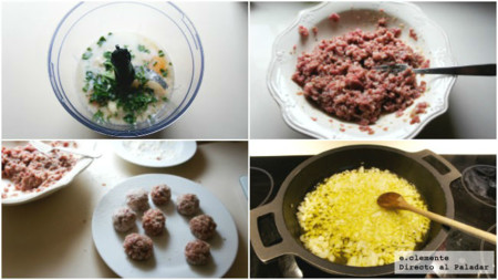 Albondigas Tomate Coll