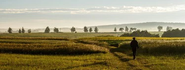 La IA Generativa está cambiando el mercado laboral. Los ganadores y perdedores están muy claros