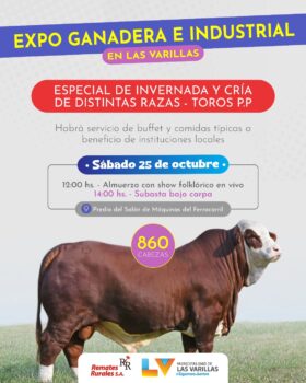 Whatsapp image 2025 10 16 at 08.09.46