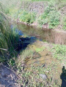 565153117 1261110289366898 7248410305562981190 n