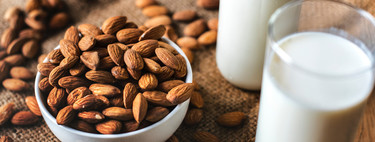 La guía definitiva de las leches vegetales: qué variedades existen y cómo usarlas en la cocina