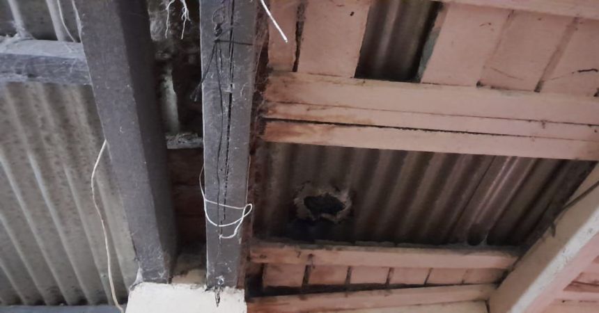 574345835 1397702589031019 8180568198232782005 n