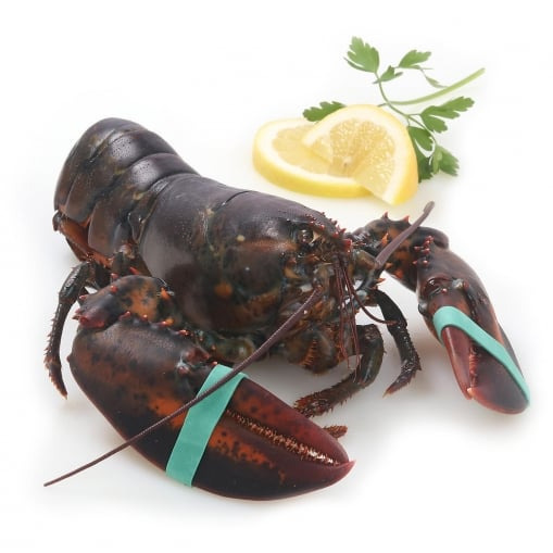  Bogavante pieza 500 g aprox 