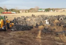 Sinsacate se deshizo de varias toneladas de cubiertas en desuso