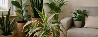 El plan de ahorro en 3 pasos que cualquiera puede seguir sin complicarse la vida y sin tener miles en el banco