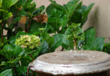 Martes con probabilidad de lloviznas en la zona