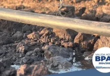 Jornada sobre riego tecnificado