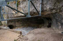 La Península Ibérica está siendo invadida: más de 1.200 especies exóticas han llegado para quedarse