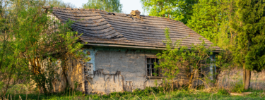 Adidas se luce este Black Friday con descuentazos en las zapatillas del color del año: cuatro modelos infalibles para el invierno por menos de 60 euros