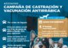 Continúan los operativos de castración y vacunación antirrábica en la ciudad
