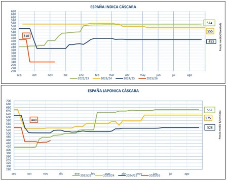El arroz español está descubriendo que hay algo peor que las sequías y plagas: el arroz de Myanmar y Camboya
