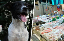 Los españoles comen mucho menos pescado que hace 30 años y una gran razón se atisba en el horizonte: la pereza por cocinarlo