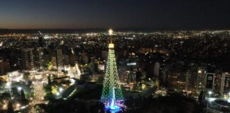 Encendieron el Arbol de Navidad en el Faro del Bicentenario