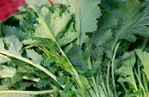 La etiqueta dice traje y corbata, pero los que de verdad saben de estilo apuestan por estos accesorios elegantes para deslumbrar en las fiestas de la temporada