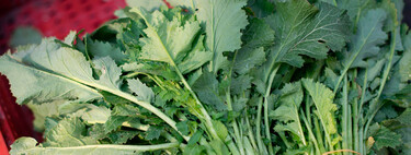 Zara nunca me ha sorprendido tanto con un perfume como con este: una explosión cítrica, de maderas y notas dulces que es una joya de menos de veinte euros