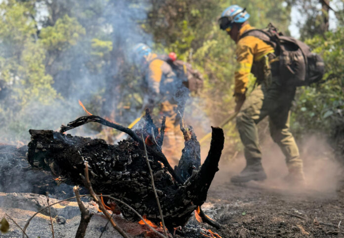 Bomberos Cordobeses combaten incendios en la Provincia de Chubut