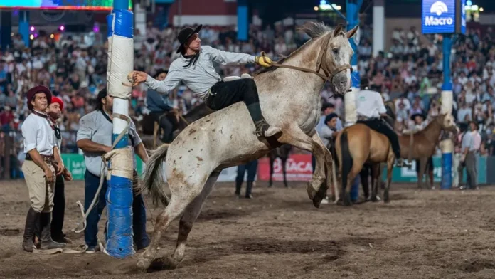 Uruguay sigue arriba en dos categorías y en la restante cambió el líder